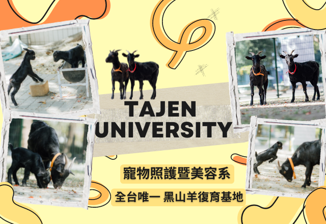 Link to 全台唯一 黑山羊復育基地