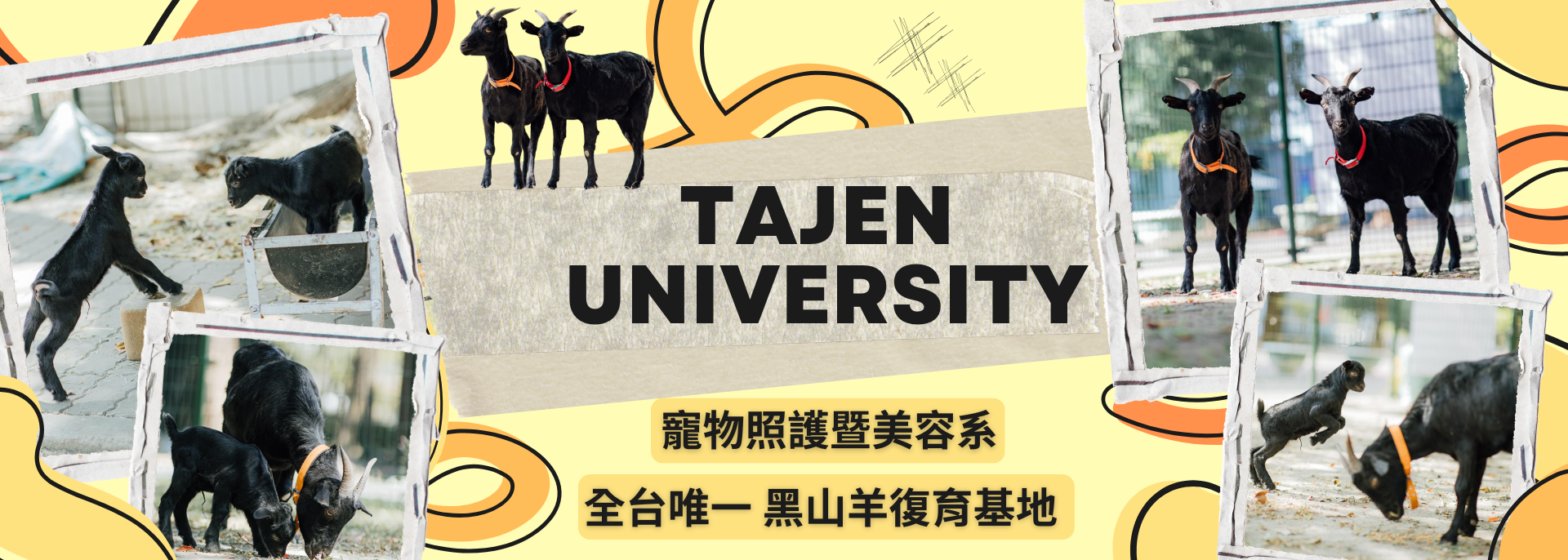 Link to 全台唯一 黑山羊復育基地